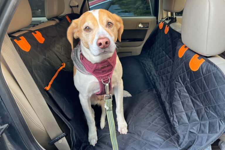 Jeep Wrangler Seat Covers for Dogs