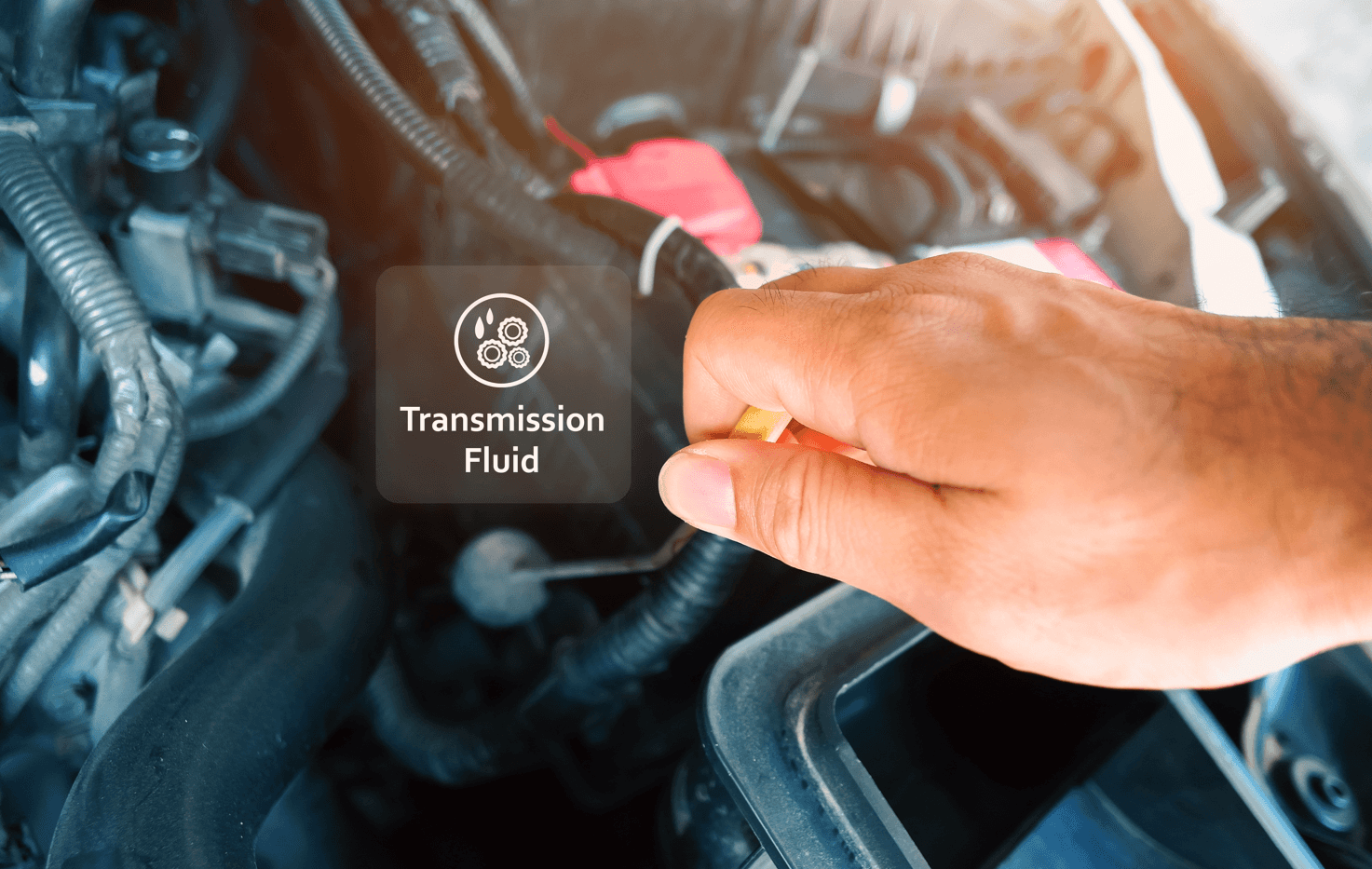 Jeep Wrangler Transmission Fluid Change Interval