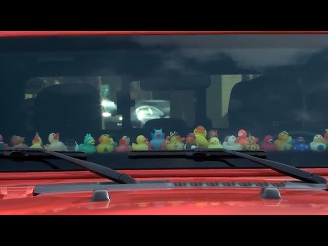 Why Do Jeeps Have Ducks on the Dash: Unveiling the Mystery